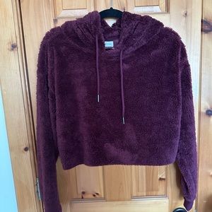 NWT Urban Outfitters cropped hoodie